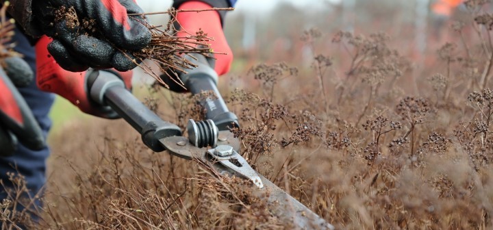 W Lublinie ruszyło wiosenne sprzątanie miasta. Ulice, parki i skwery po zimie przechodzą porządki